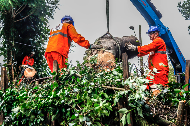 Falta de integração entre Prefeitura, governo e concessionárias amplia risco de apagões
