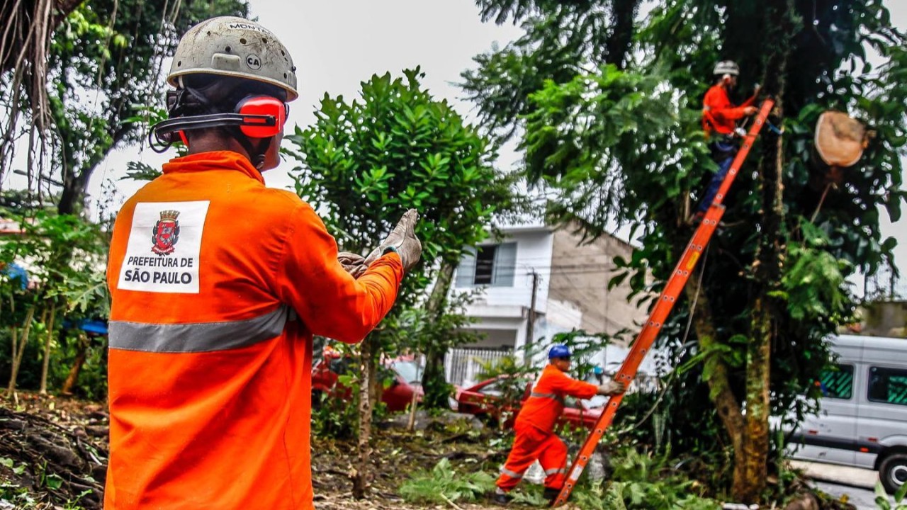 Cuidar das árvores da cidade é gestão. Tecnologia ajuda, mas não resolve sozinha