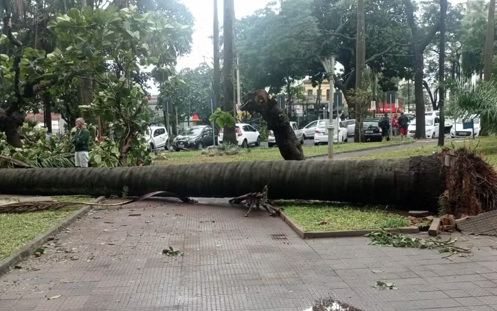 O temporal de Ribeirão Preto e a importância da tecnologia para prevenção e planejamento urbano